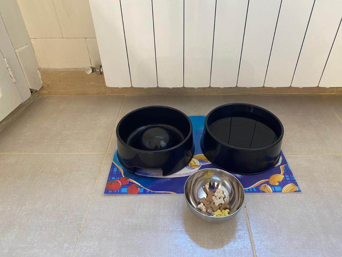 Chez Hélène, appartement charmant pour 4 personnes chiens bienvenus-perros bienvenidos Bourg-Madame Extérieur photo