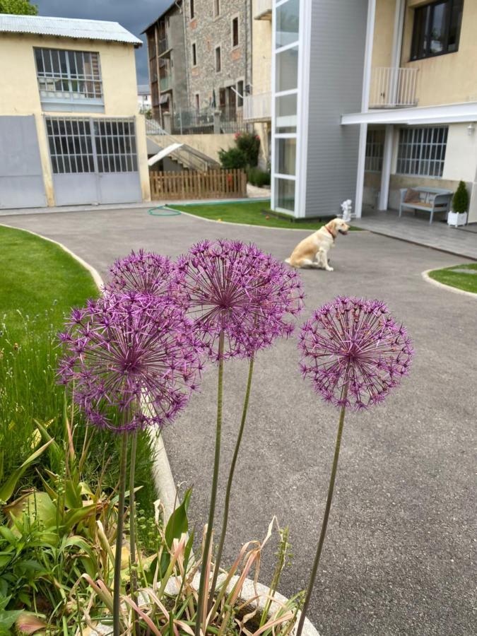 Chez Hélène, appartement charmant pour 4 personnes chiens bienvenus-perros bienvenidos Bourg-Madame Extérieur photo