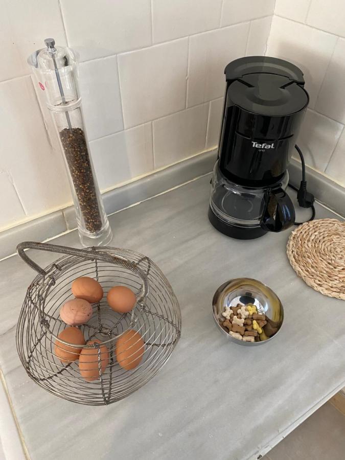 Chez Hélène, appartement charmant pour 4 personnes chiens bienvenus-perros bienvenidos Bourg-Madame Extérieur photo